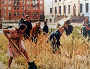 1956. Ребята обрабатывают участок у недавно выстроенной школы.