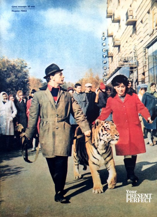 Дрессировщики Марица и Вальтер Запашные; выступающие в новом цирке Волгограда, на прогулке с тигром Тайфуном. 1968 год.